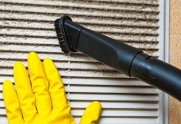 Air Duct Mold Removal in Joanna, SC